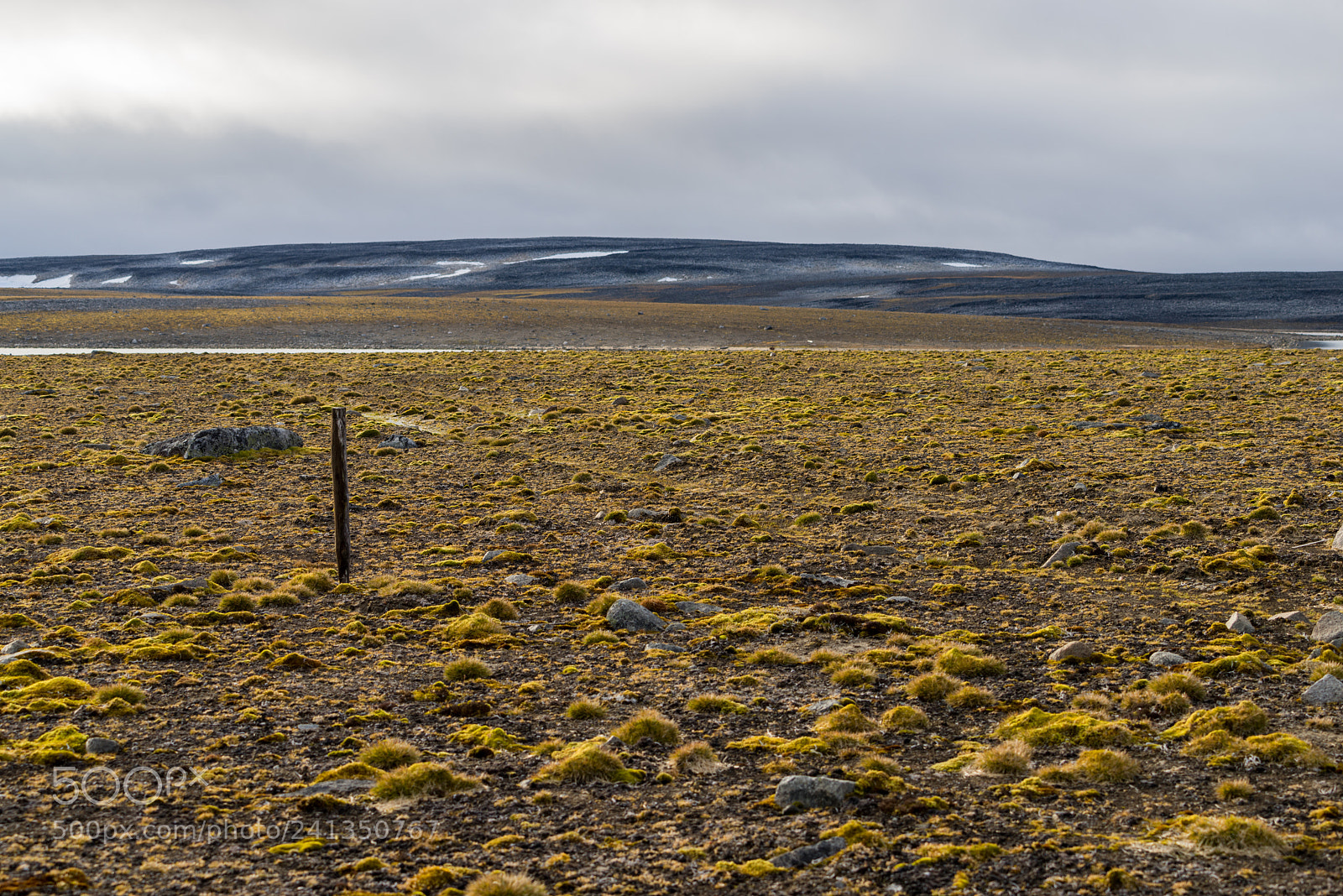 Sony a7R sample photo. Sewernaya zemlya photography