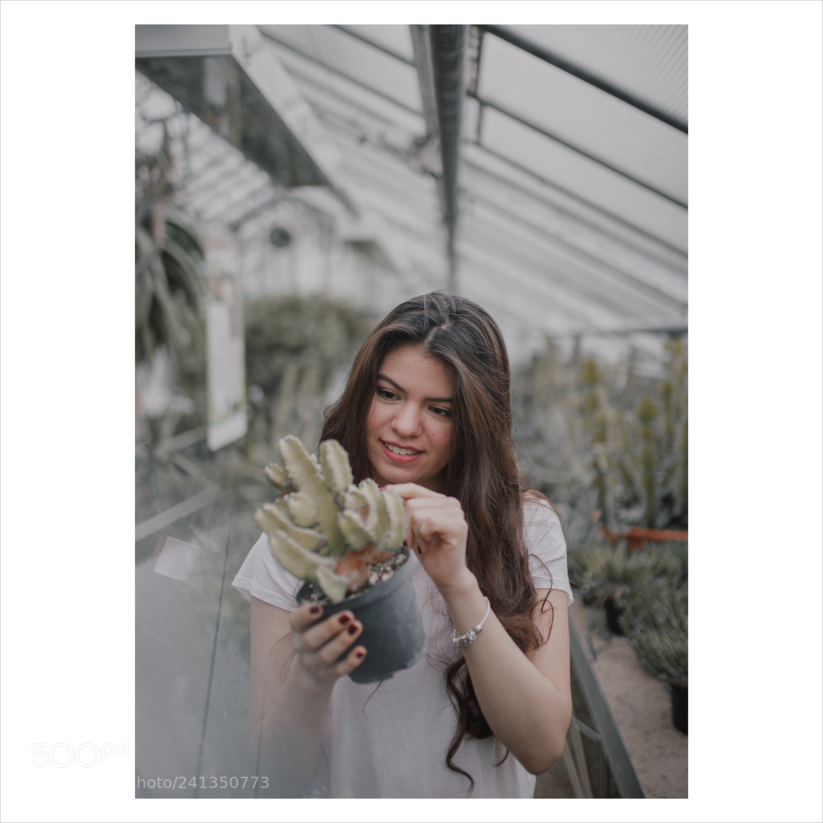 Canon EOS 6D Mark II sample photo. Untitled photography