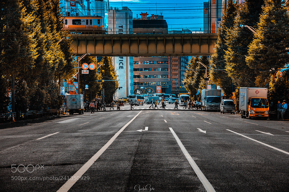 Canon EOS 5DS R sample photo. Turn or go straight photography