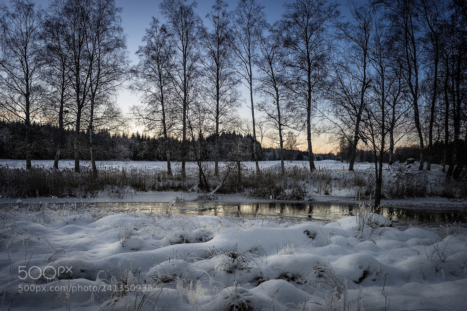 Sony a7R sample photo. Vinter photography