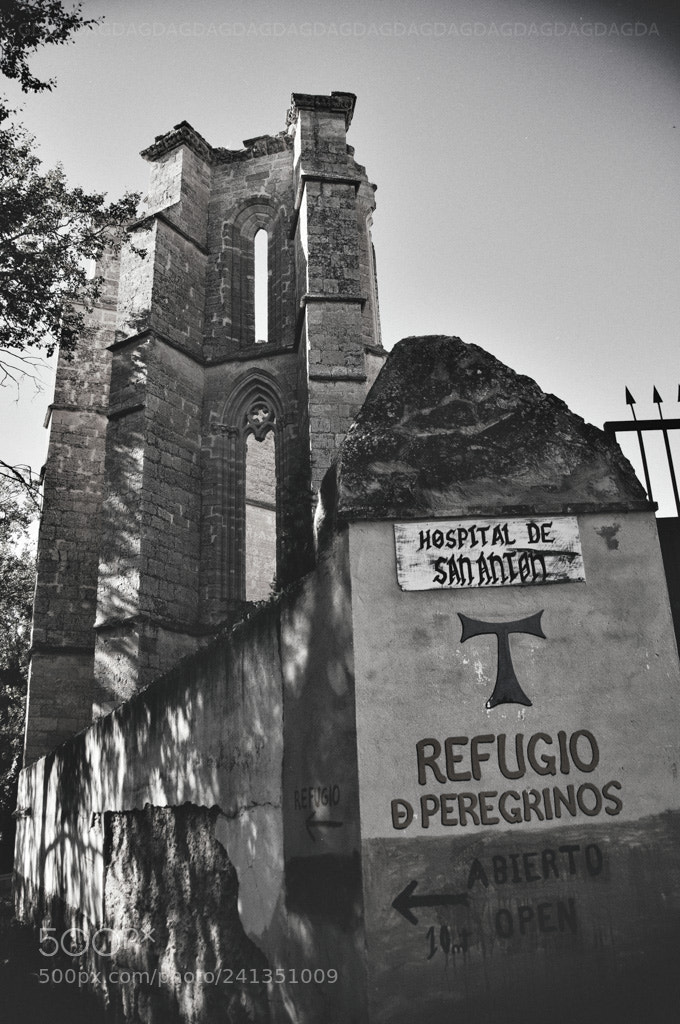 Nikon D90 sample photo. Ruinas de san ant photography