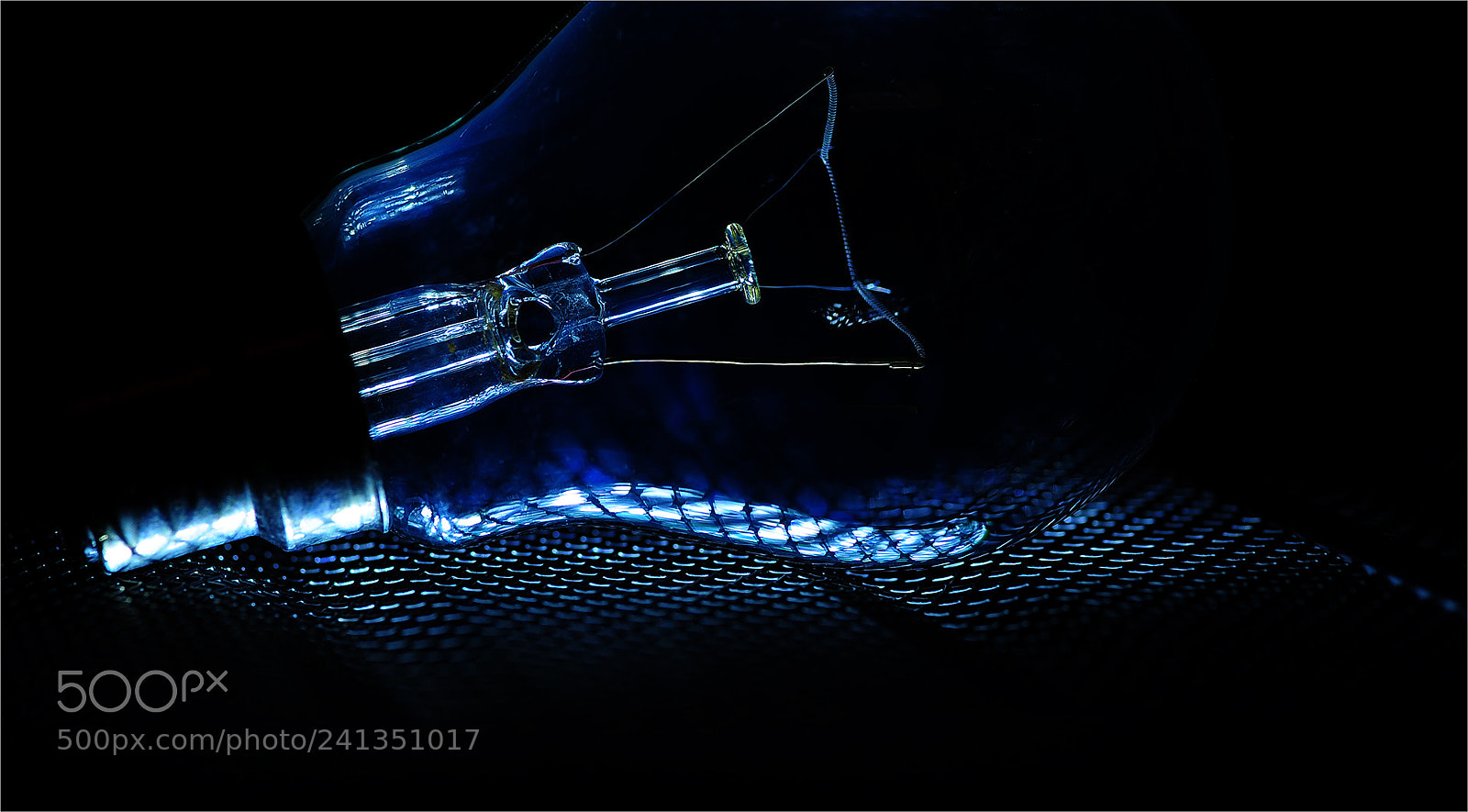 Nikon D700 sample photo. Bulb light photography