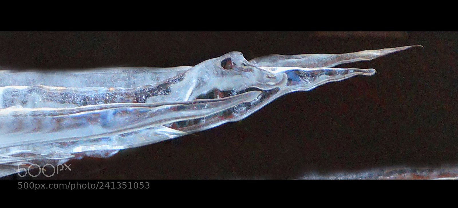 Sony Alpha NEX-6 sample photo. Icicles 2 photography