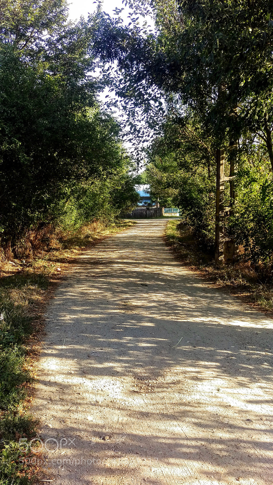 HTC ONE M9 sample photo. Untitled photography