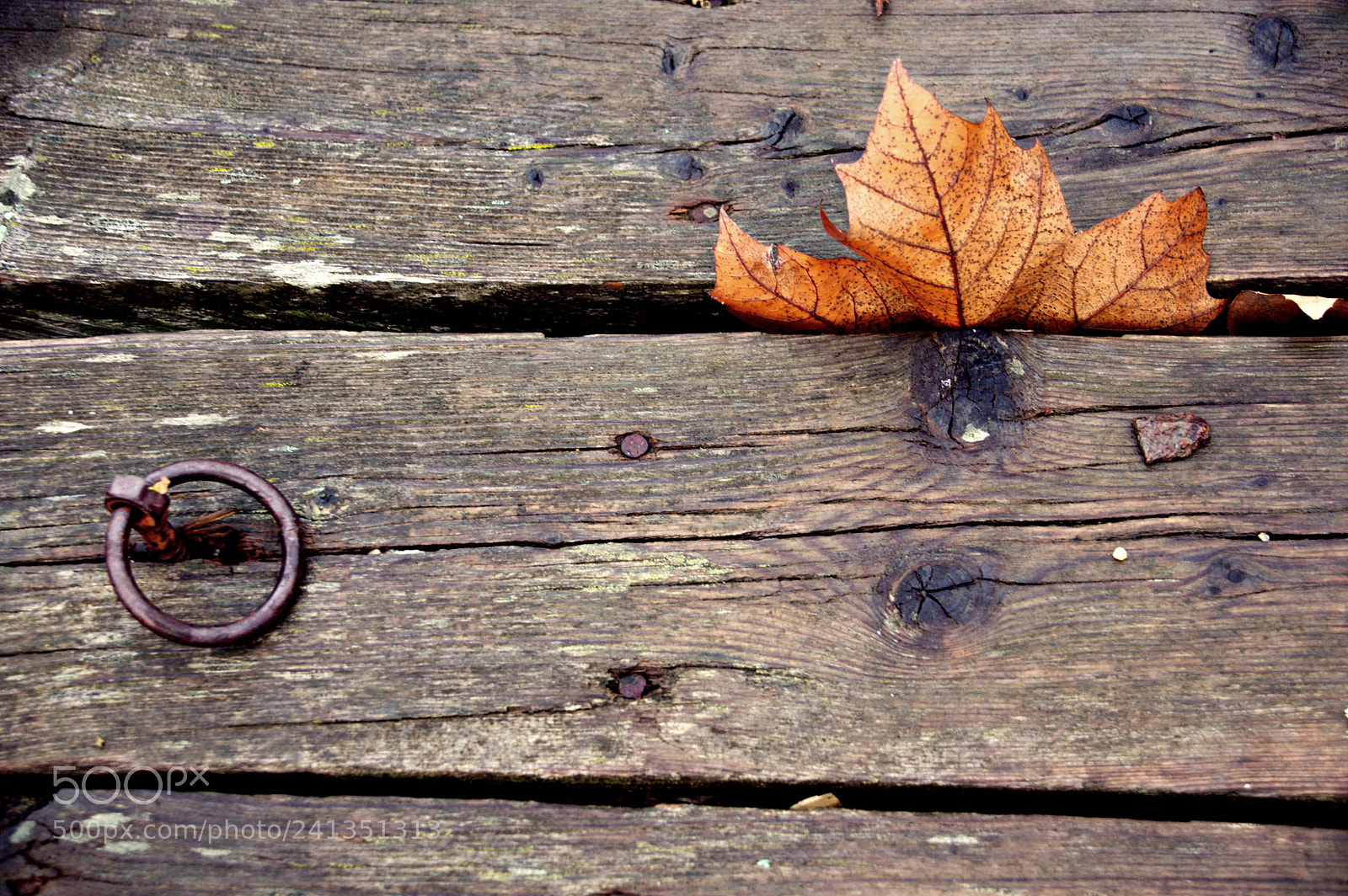 Pentax K-3 sample photo. Help! photography
