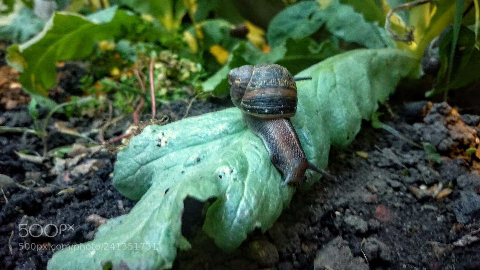 HTC ONE M9 sample photo. ? photography