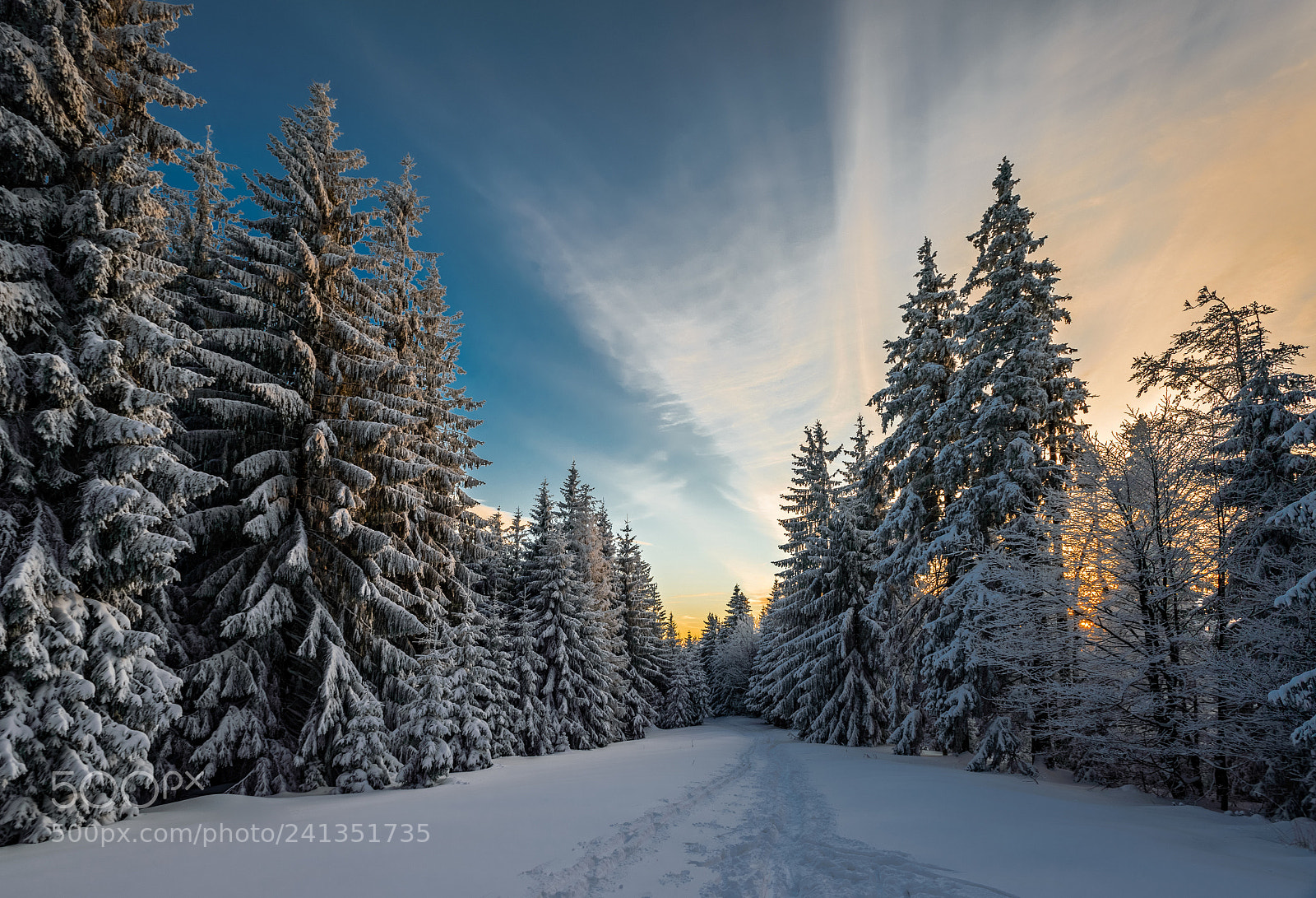 Nikon D600 sample photo. Beskydy in winter photography
