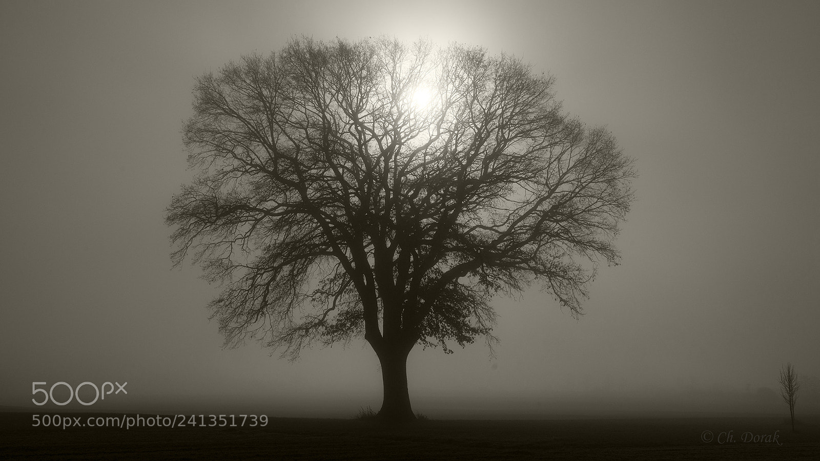 Nikon D7100 sample photo. Atmosphere photography