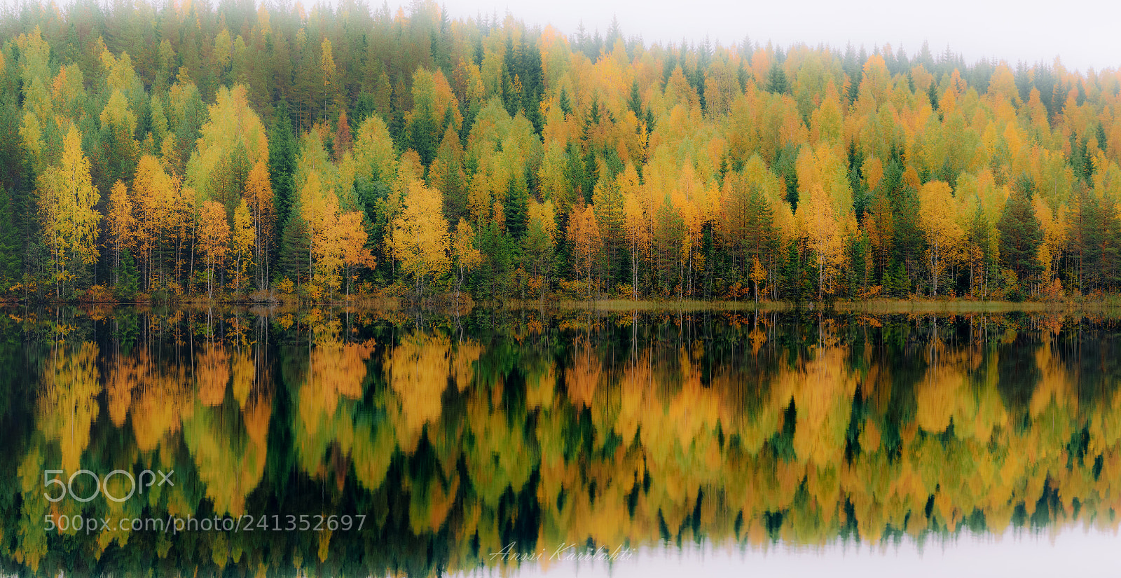 Nikon D600 sample photo. Autumn reflections photography