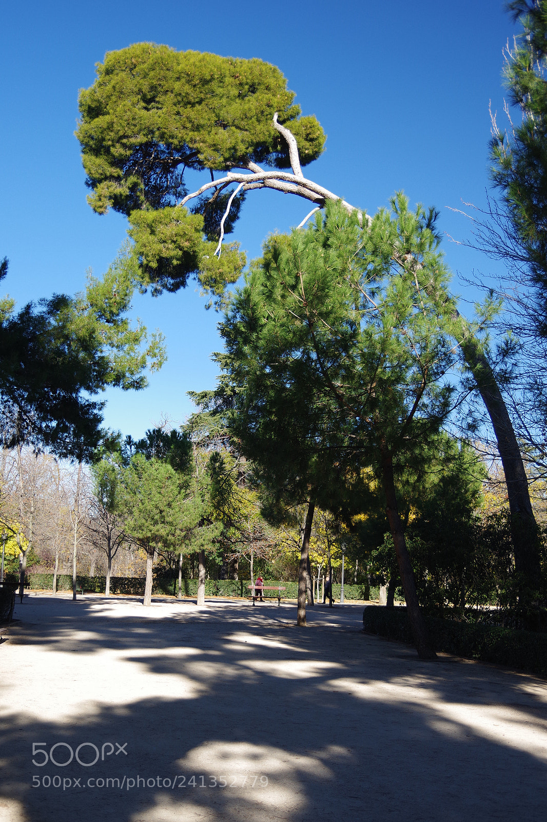 Pentax K-70 sample photo. Park retiro photography