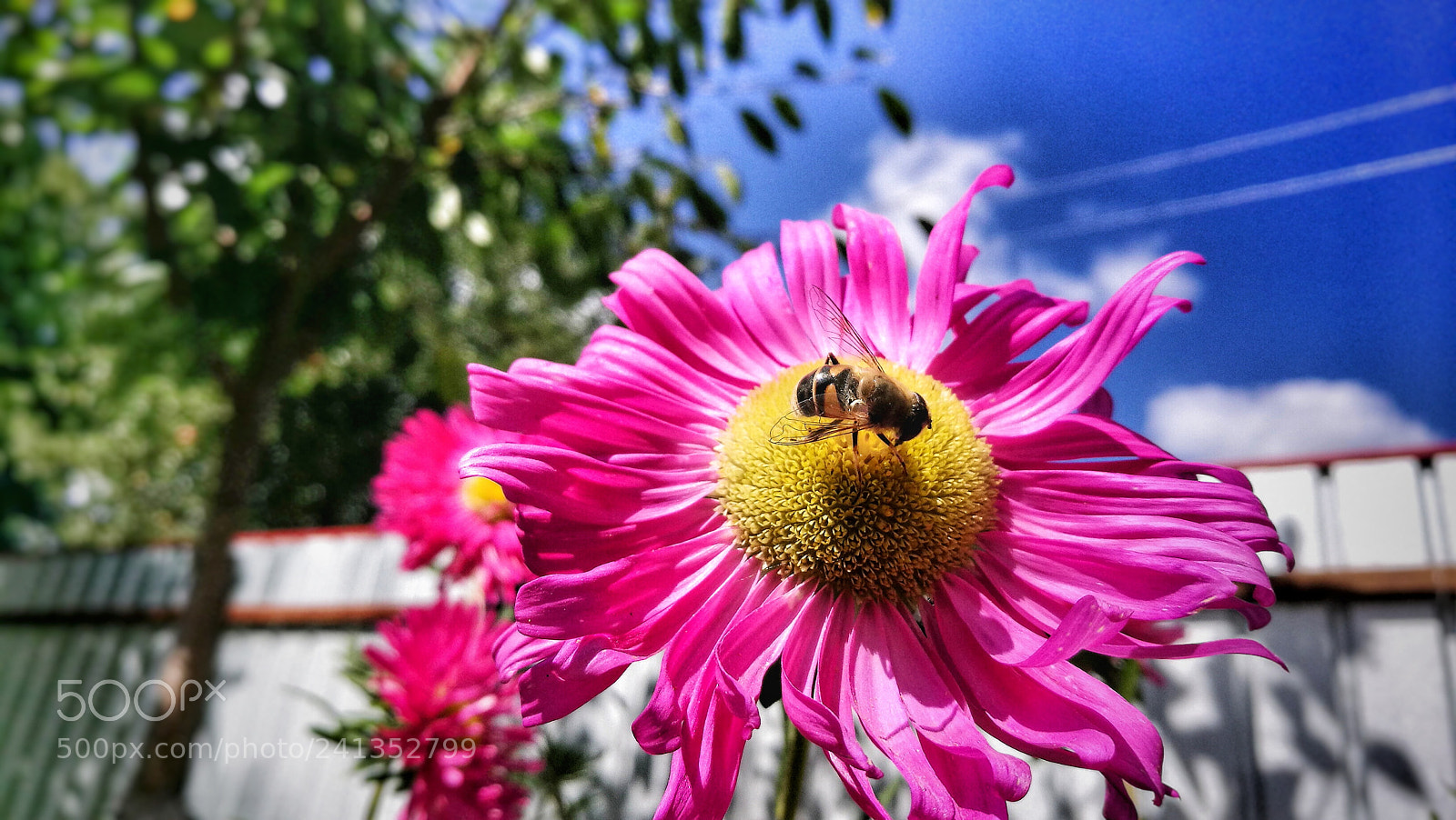 HUAWEI P9 sample photo. Untitled photography