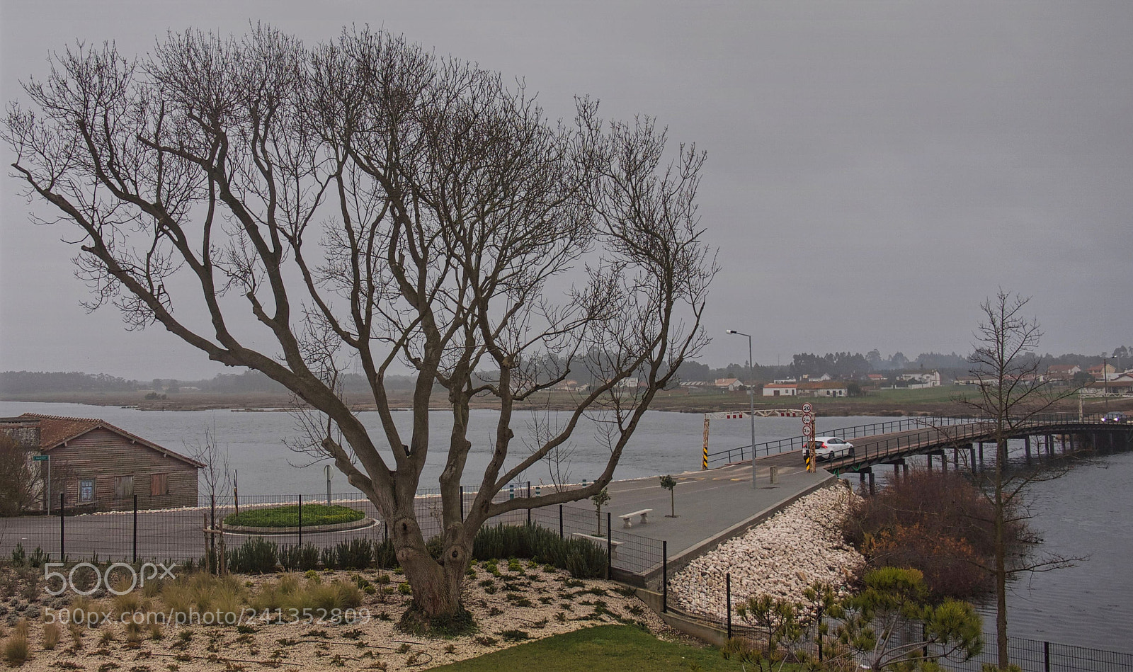 Panasonic Lumix DMC-G1 sample photo. Winter atmosphere photography