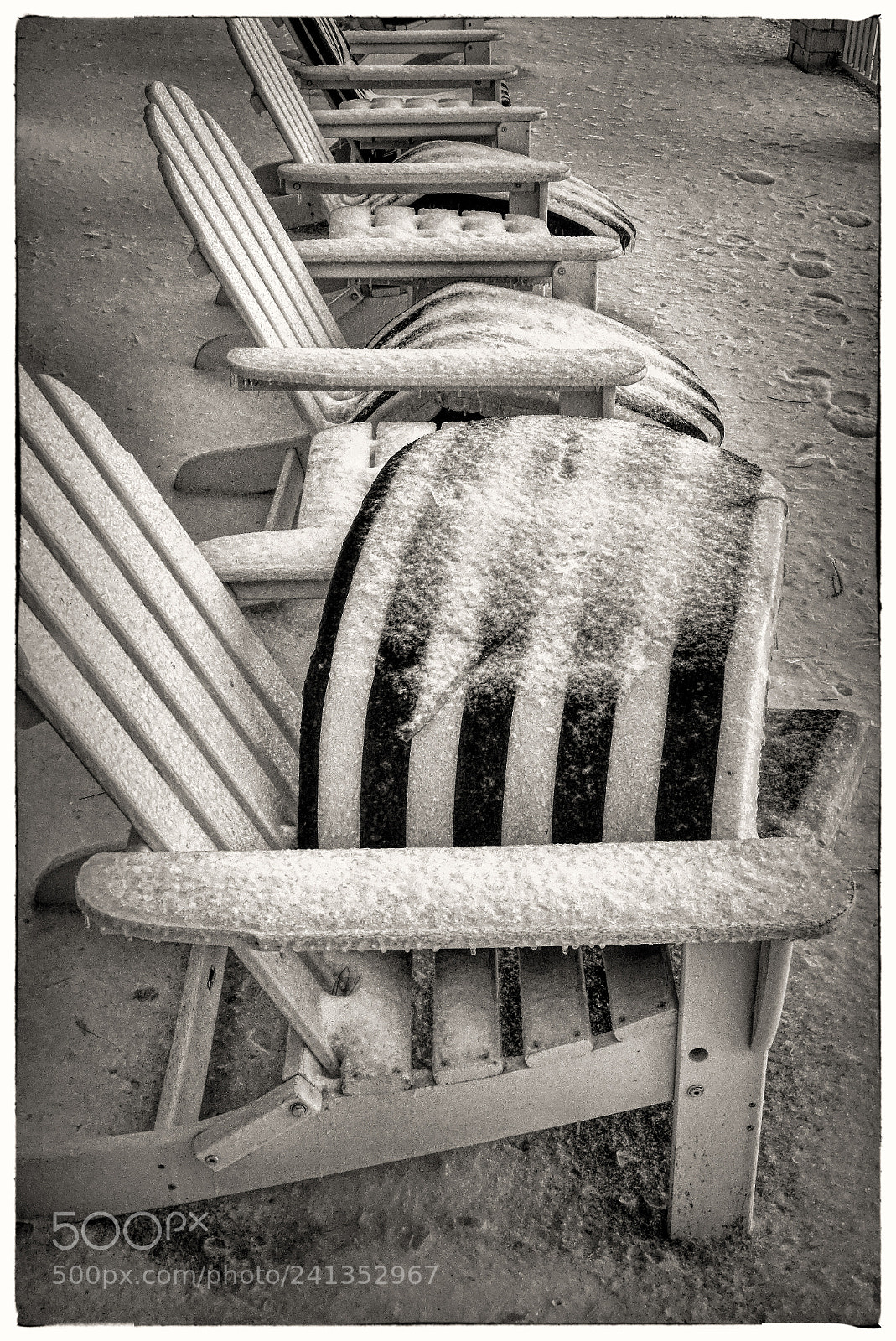 Sony Cyber-shot DSC-RX10 III sample photo. "too cold today" photography