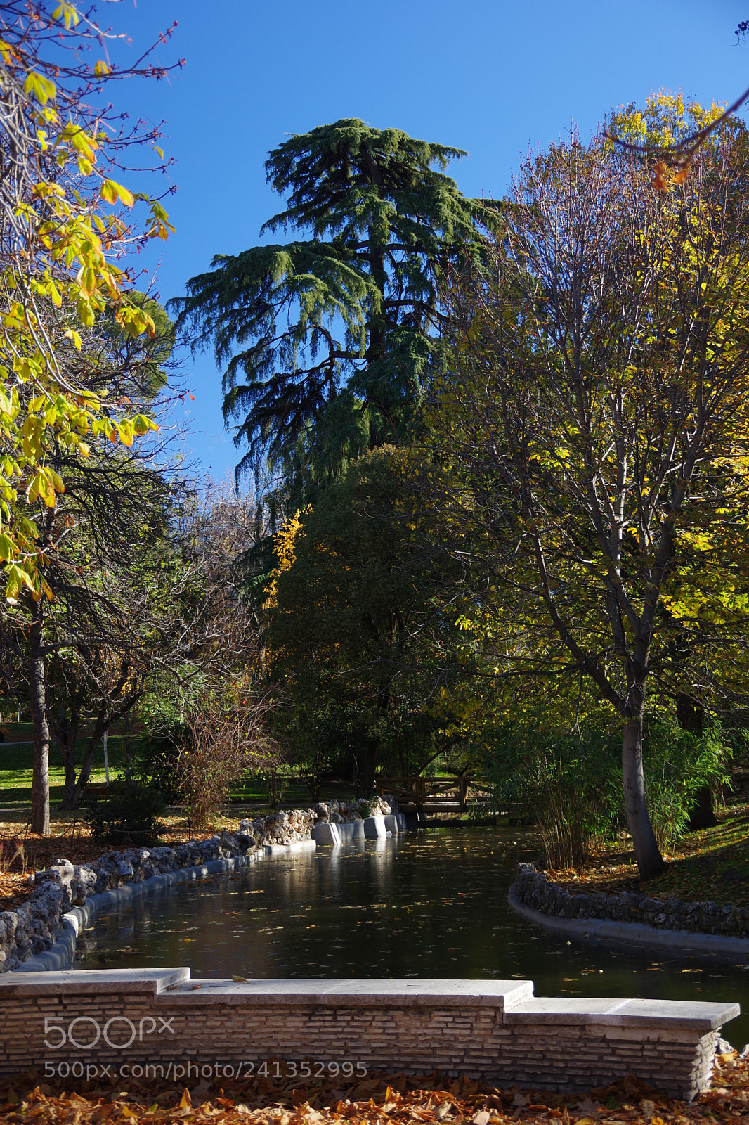 Pentax K-70 sample photo. Park retiro photography