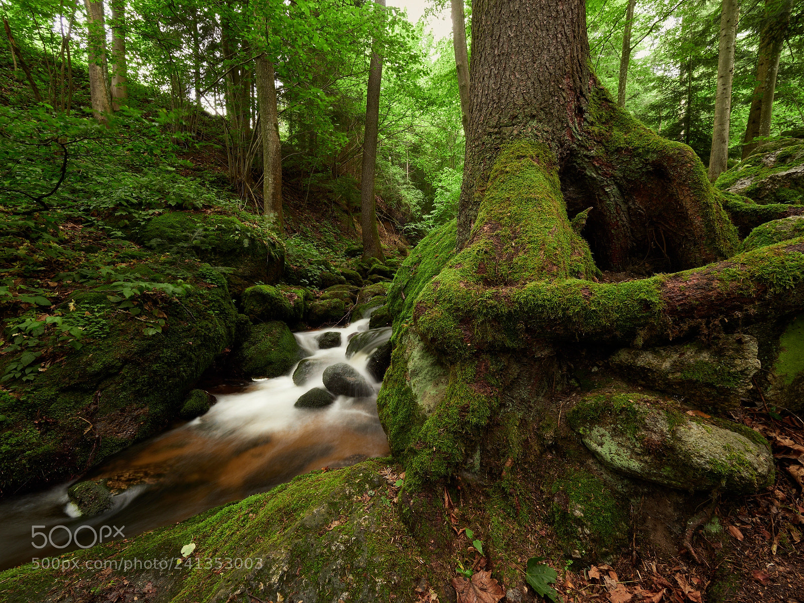 Olympus OM-D E-M1 Mark II sample photo. Ysperklamm - lower austria photography