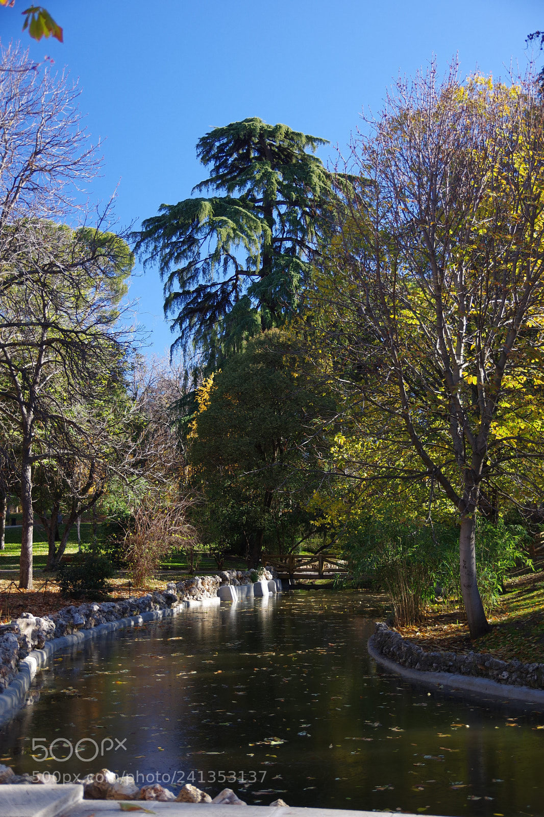 Pentax K-70 sample photo. Park retiro photography