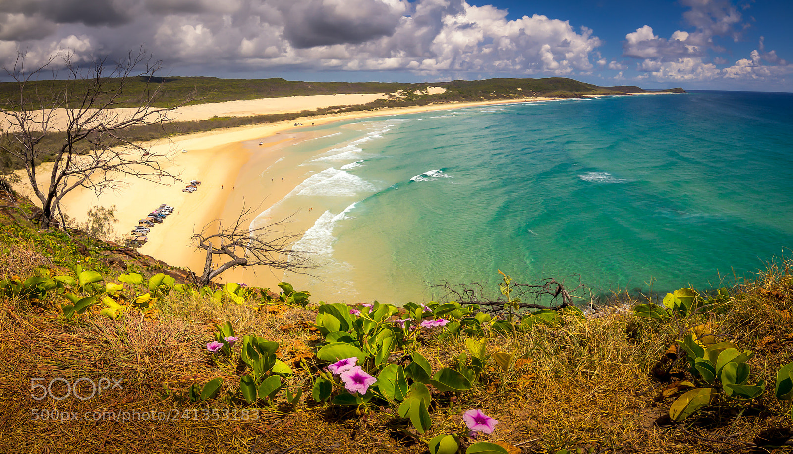 Canon EOS 60D sample photo. Fraser island photography