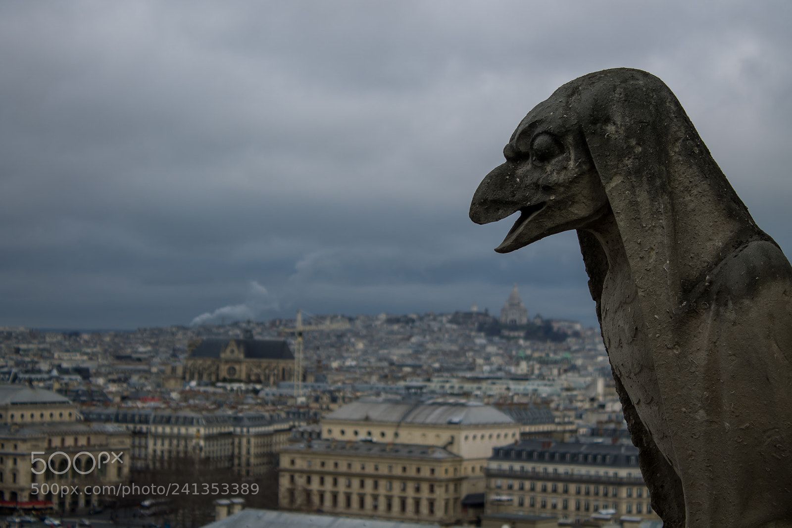 Canon EOS 1100D (EOS Rebel T3 / EOS Kiss X50) sample photo. Gargoyles over paris photography