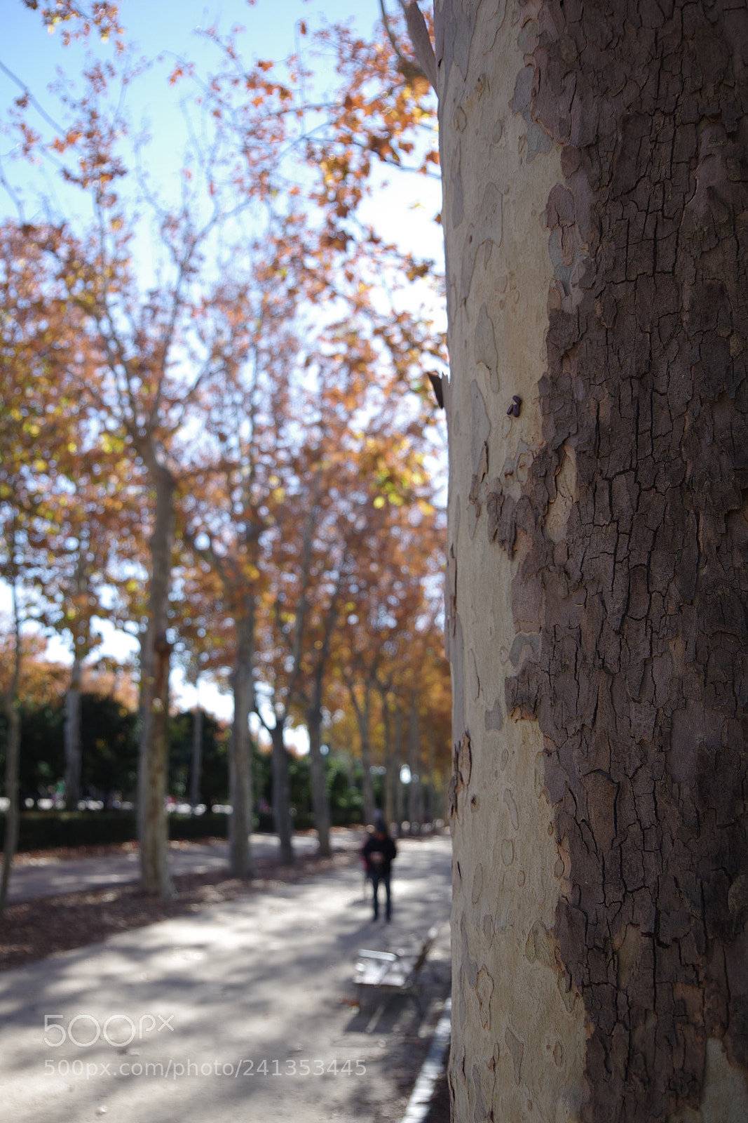 Pentax K-70 sample photo. Park retiro, madrid, spain photography