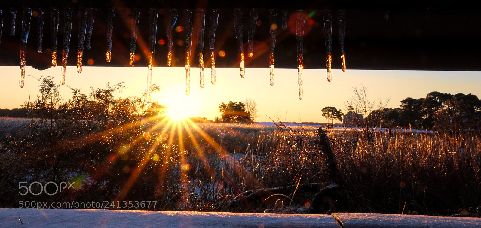 Sony Cyber-shot DSC-RX10 III sample photo. "sunrise and ice" photography