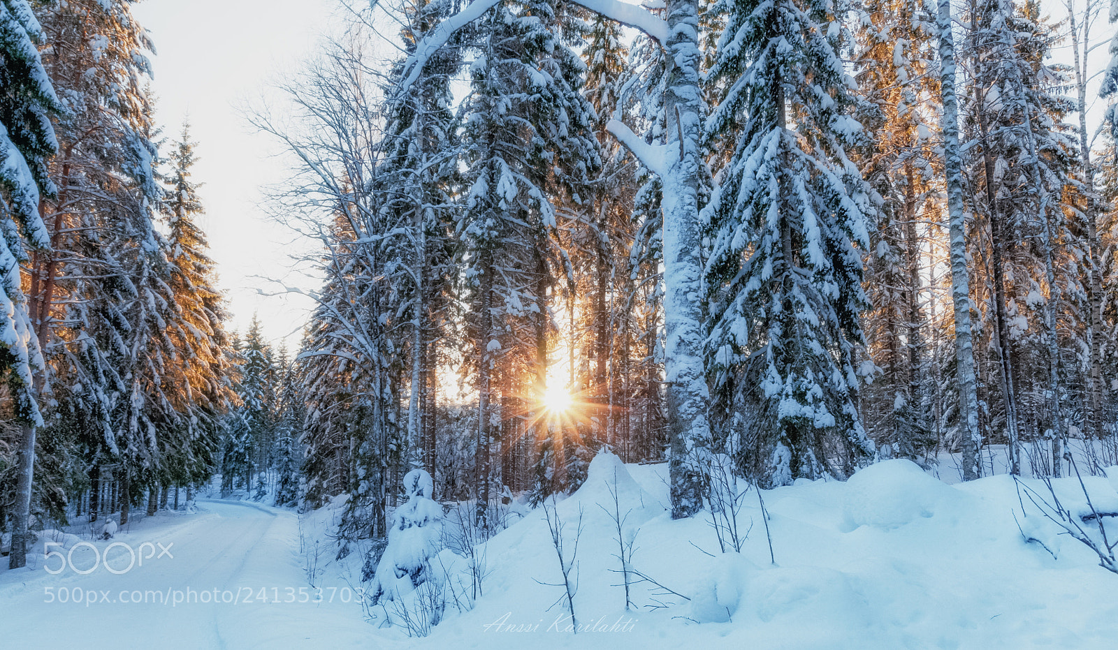 Nikon D300 sample photo. Winter sun photography