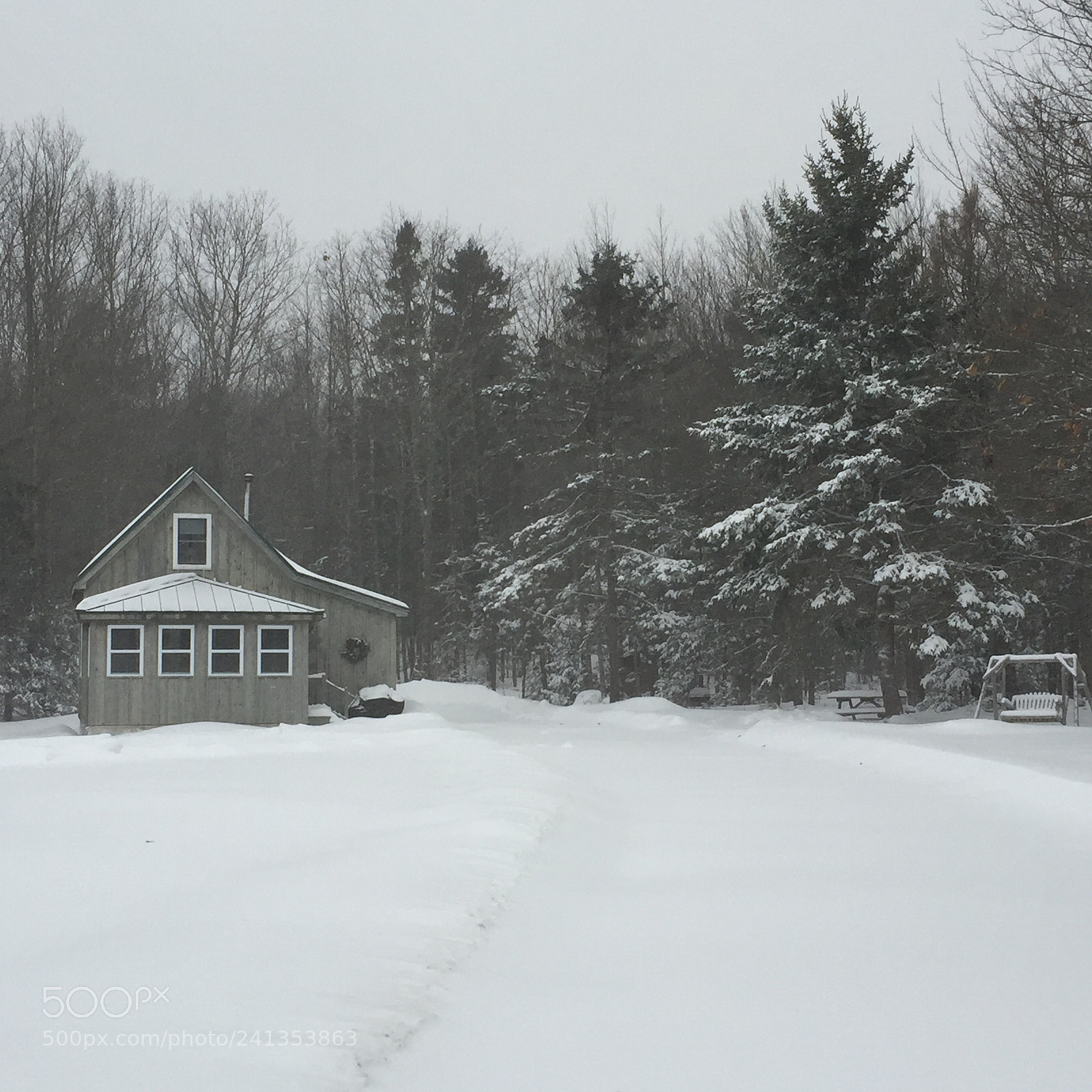 Apple iPhone 6 sample photo. Winter wonderland in maine photography