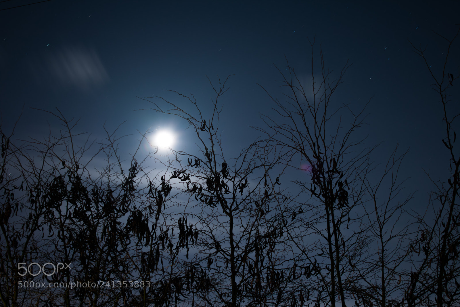 Nikon D3400 sample photo. Winter night 2 photography