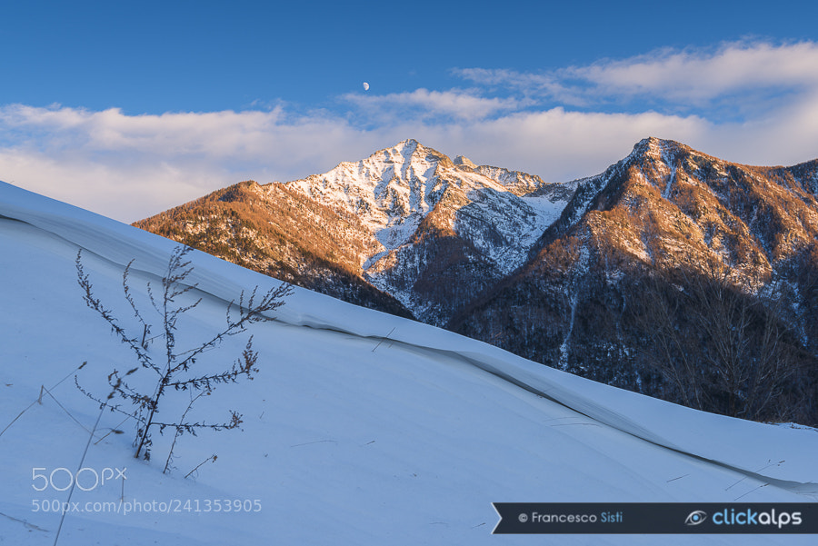 Nikon D810 sample photo. Behind a snow wave photography