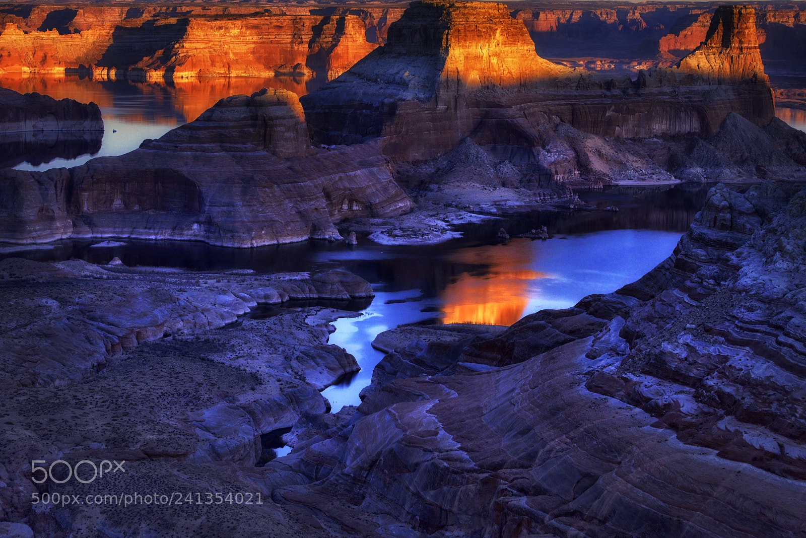 Nikon D810 sample photo. Deep reflection photography