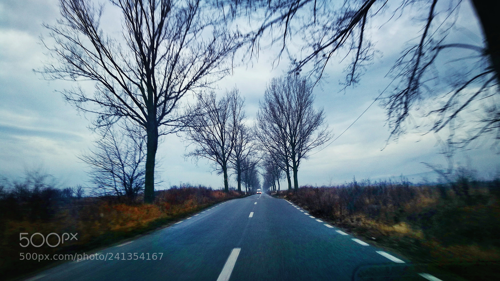 HUAWEI P9 sample photo. Untitled photography