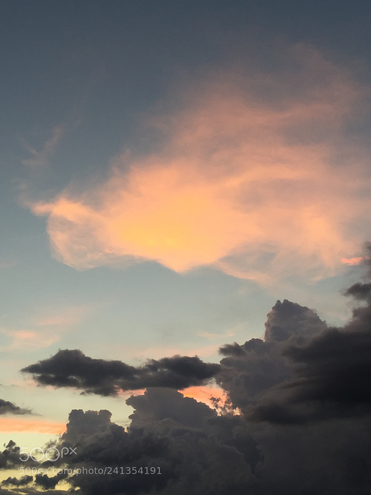 Apple iPhone 6 sample photo. Img photography