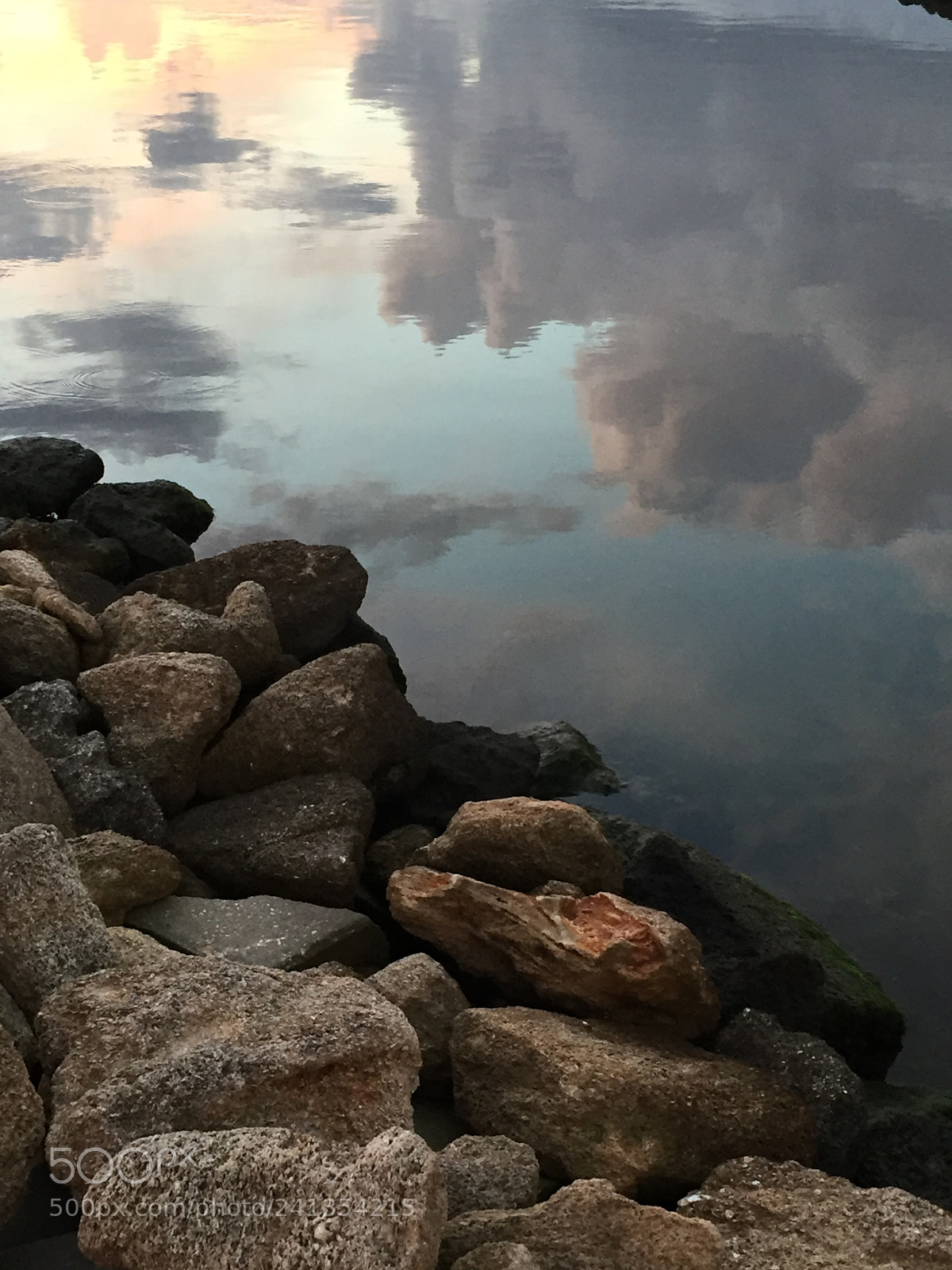 Apple iPhone 6 sample photo. Img photography