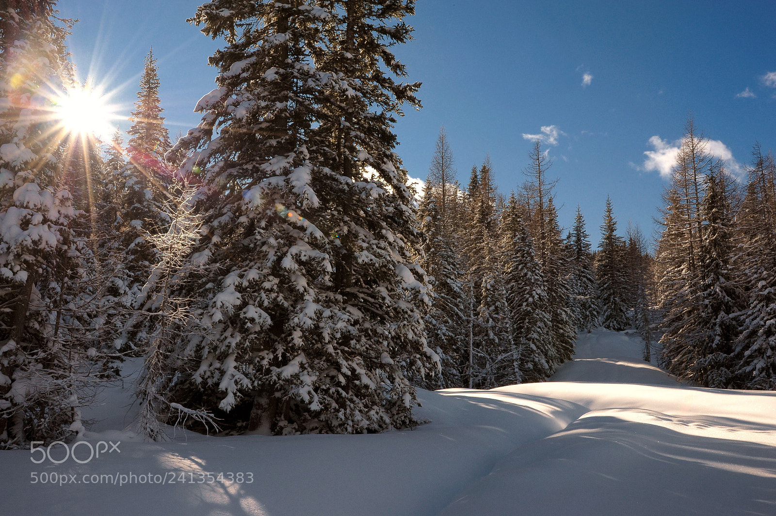 Nikon D700 sample photo. Winter lights and shadows photography