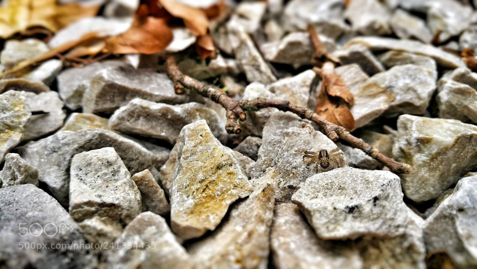 HUAWEI P9 sample photo. Untitled photography
