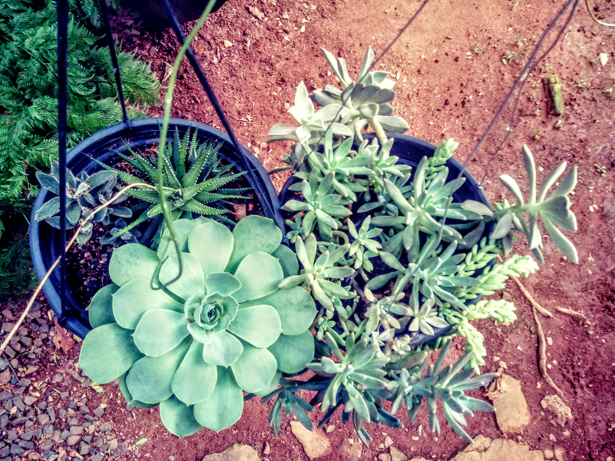 LG X POWER sample photo
