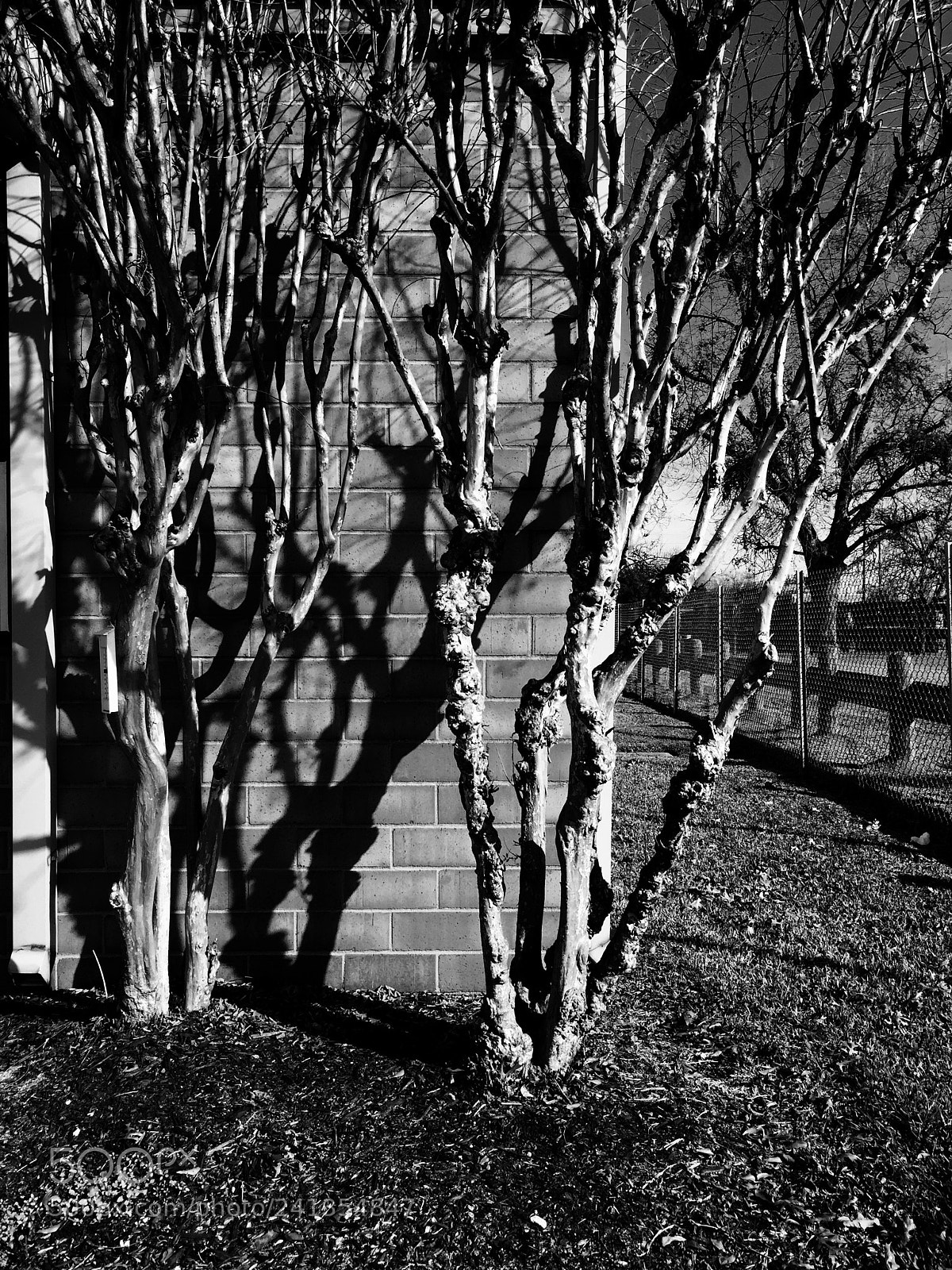Apple iPhone 6 sample photo. Shadow photography