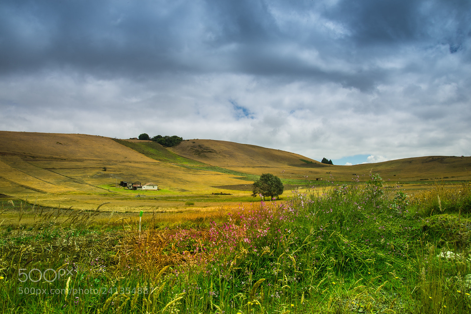 Nikon D600 sample photo. Colombia photography