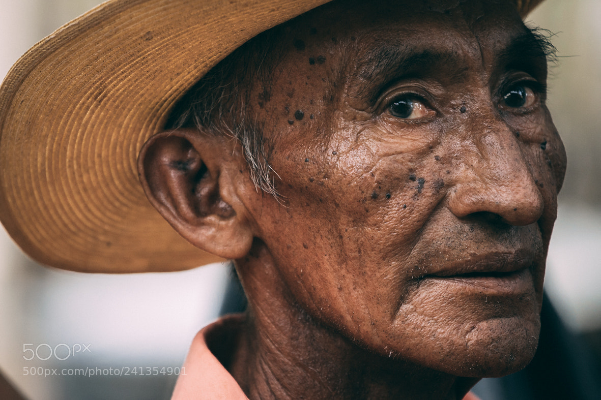 Sony a7 II sample photo. Morning lane 200mm photography