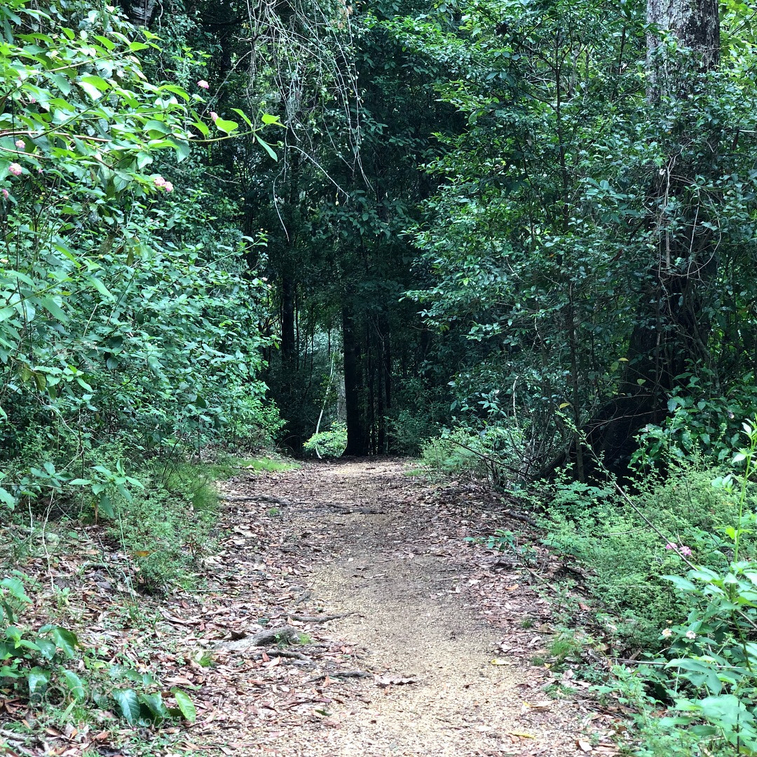 Apple iPhone X sample photo. Untitled photography