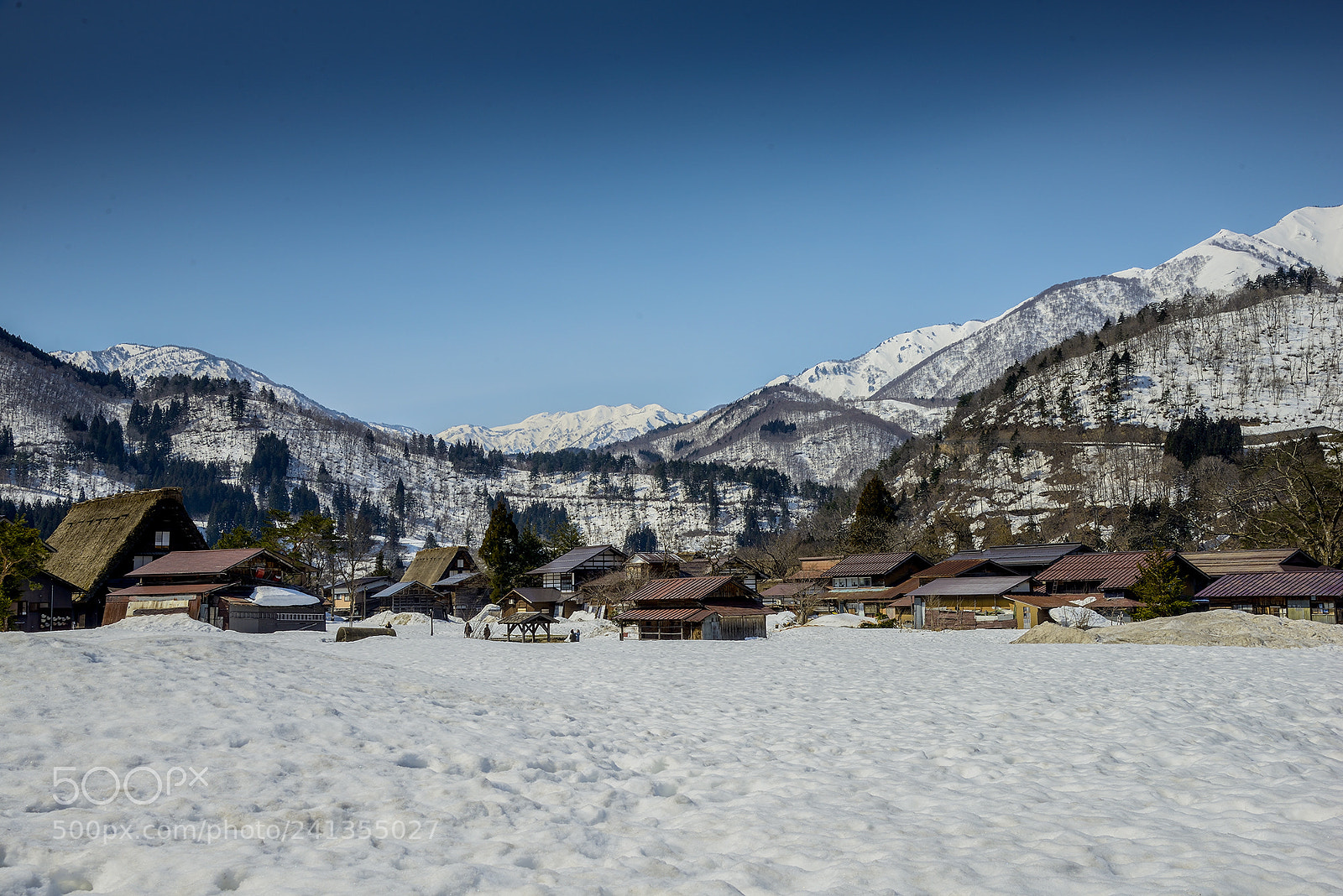 Nikon D800 sample photo. Japan's winter photography