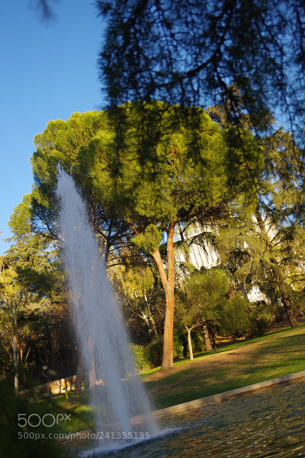 Pentax K-70 sample photo. Parque de atenas, madrid photography