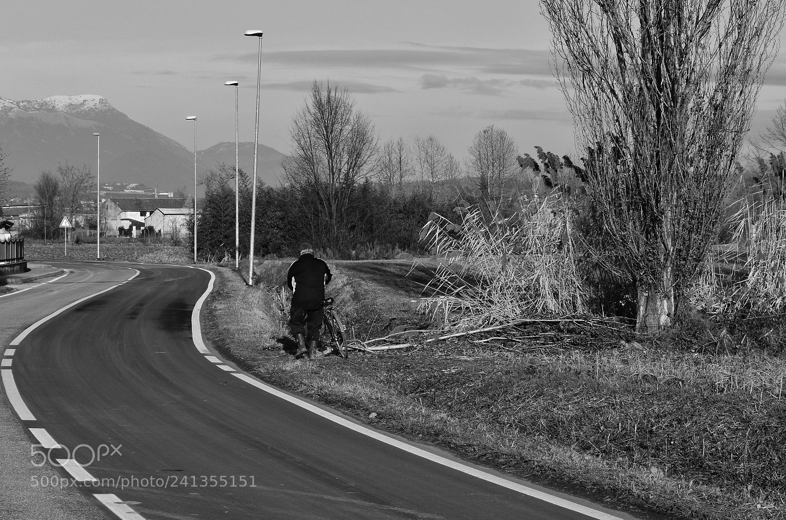 Nikon D3400 sample photo. Passeggiare fra natura e photography