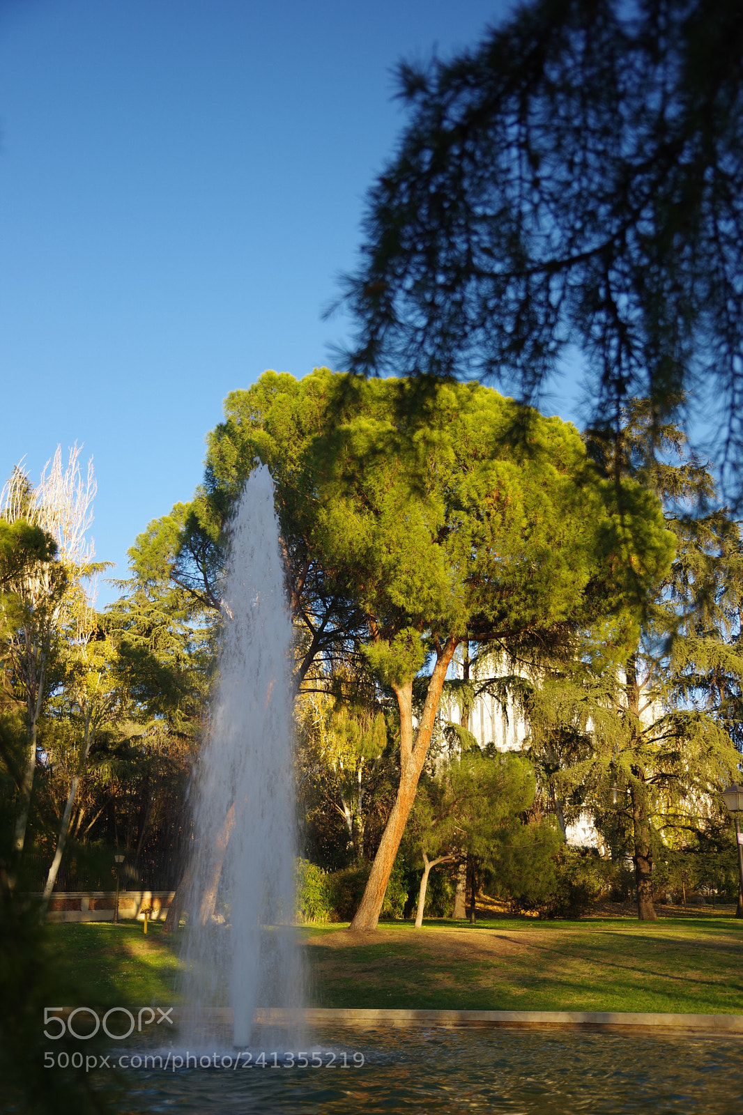 Pentax K-70 sample photo. Parque de atenas, madrid photography