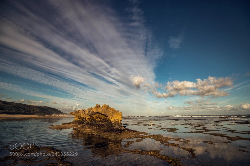 Canon EOS-1D X Mark II sample photo. Kenton on sea scape... photography