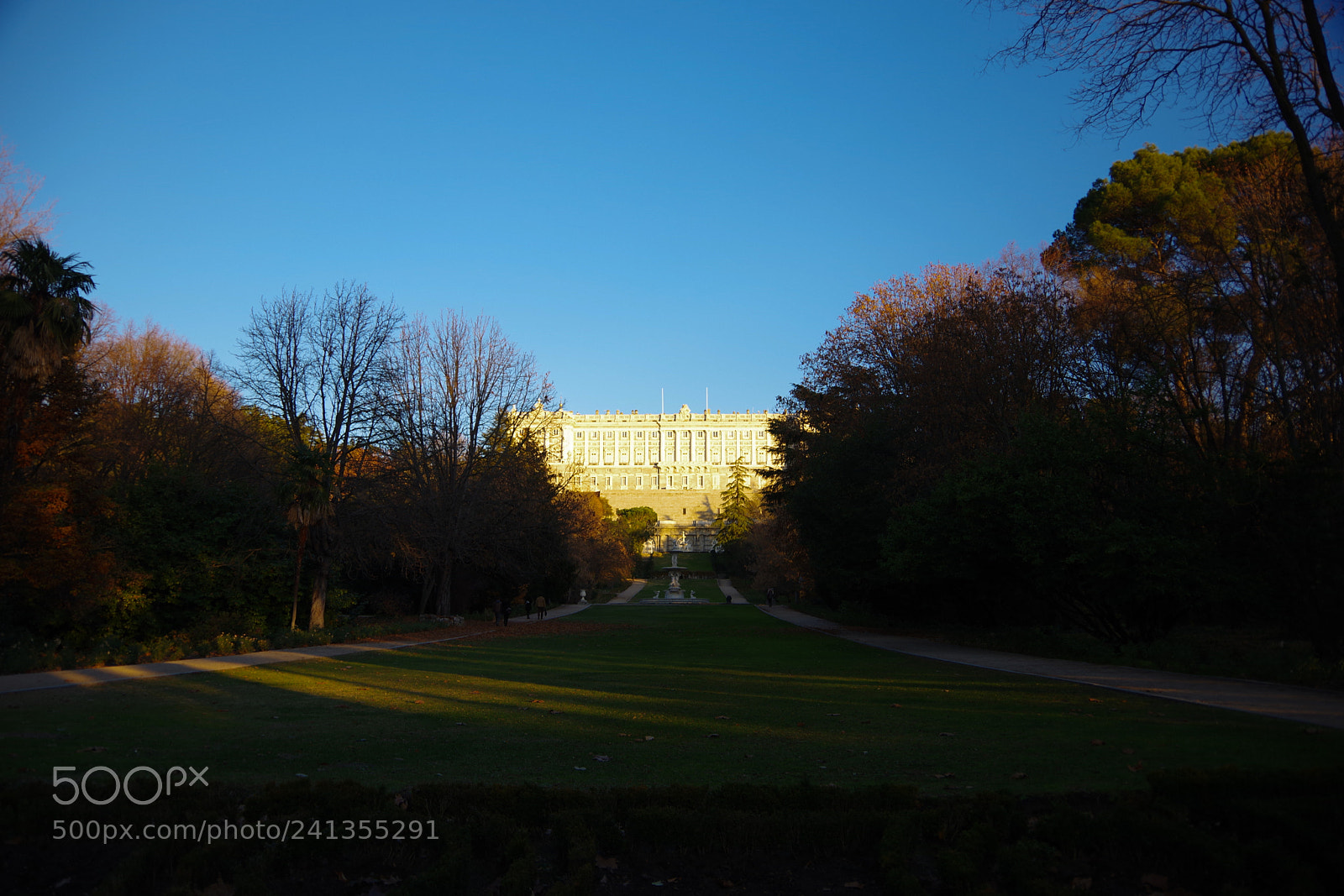 Pentax K-70 sample photo. Campo de moro, madrid photography