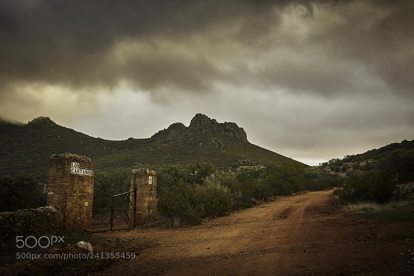 Nikon D500 sample photo. Sierra grande,hornachos photography