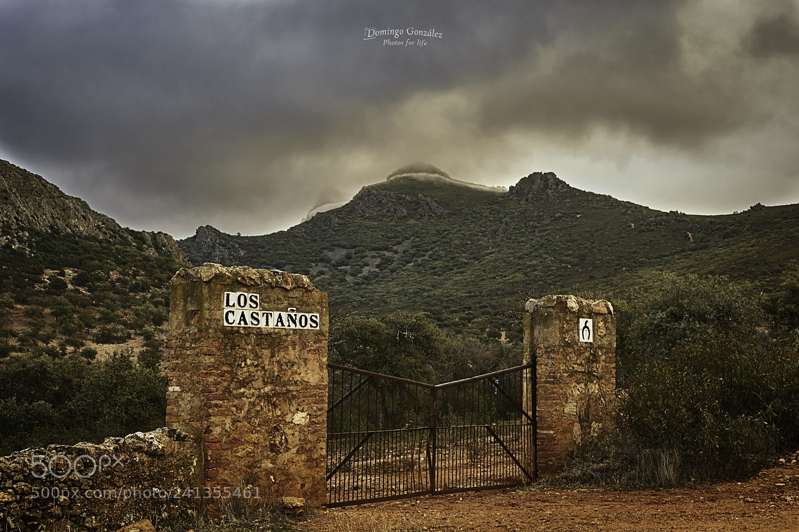 Nikon D500 sample photo. Sierra grande,hornachos photography