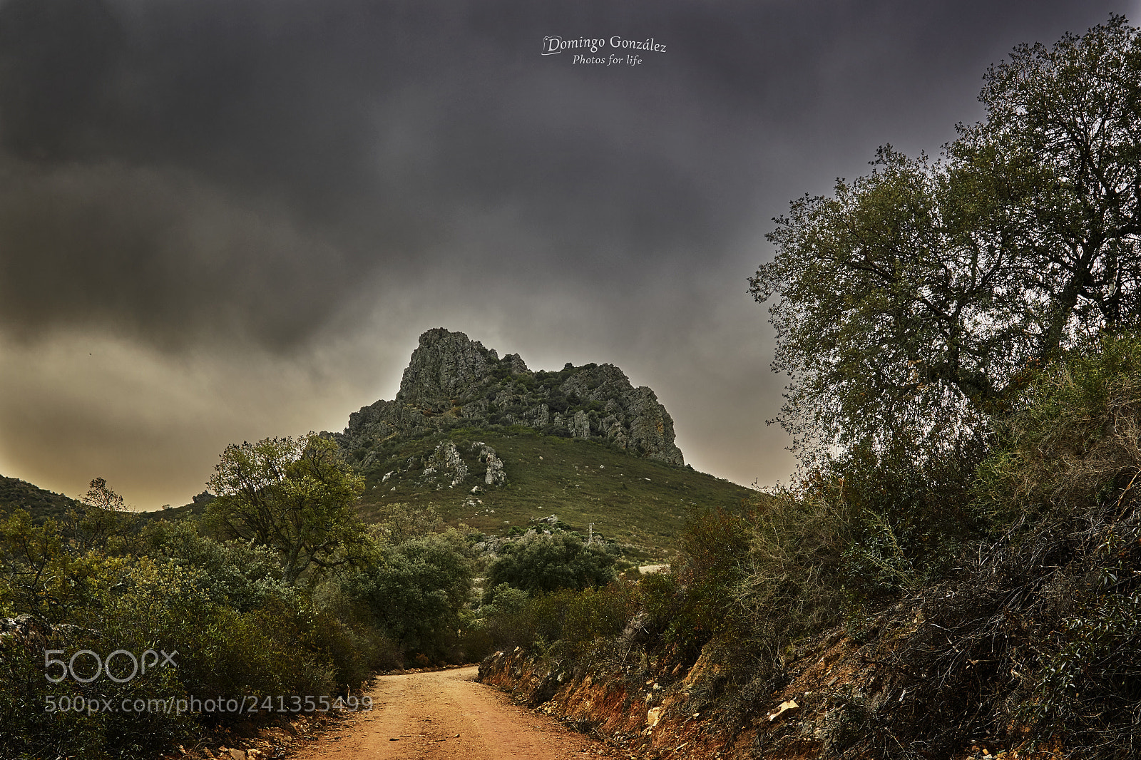 Nikon D500 sample photo. Sierra grande,hornachos photography