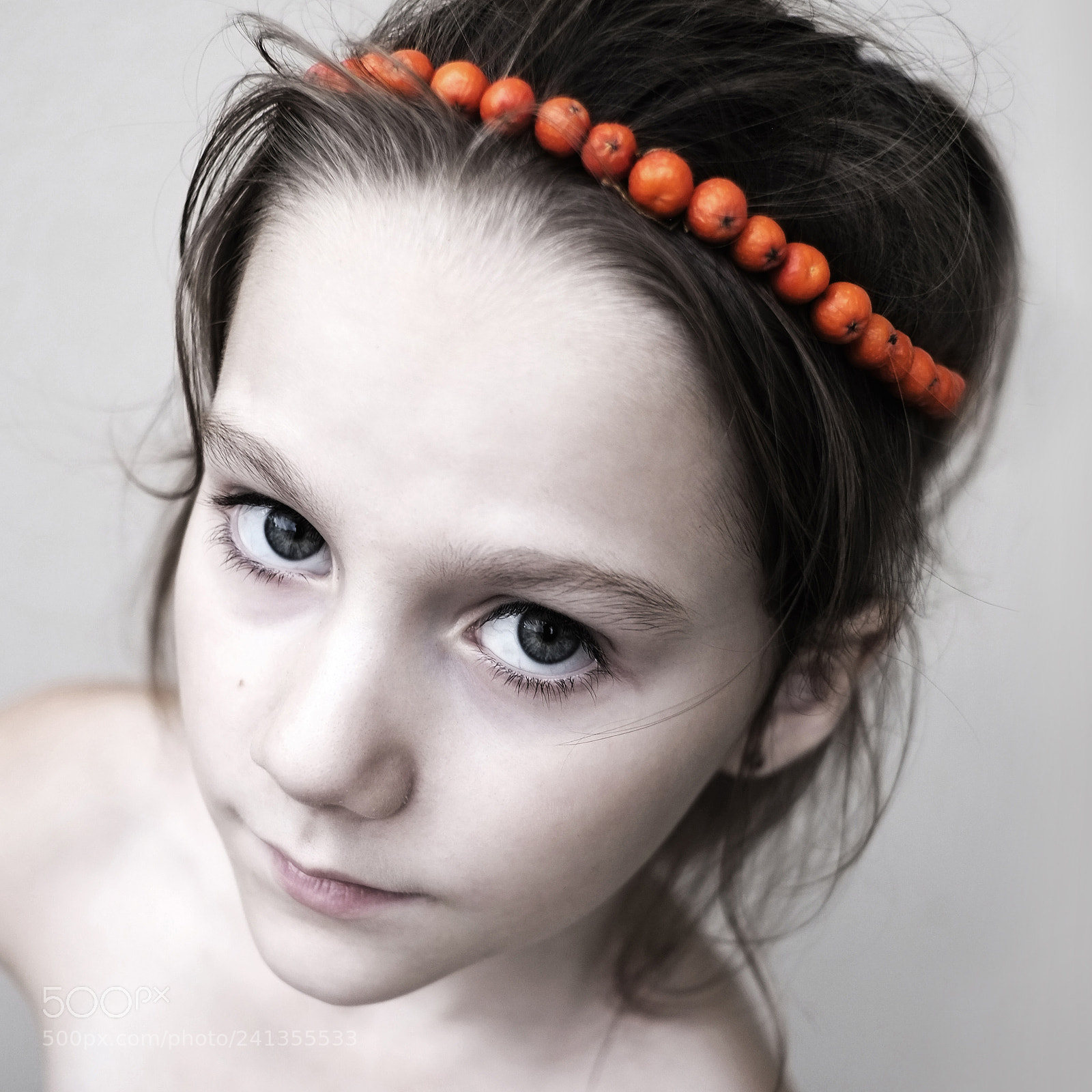 Fujifilm X-E1 sample photo. Rowanberries photography