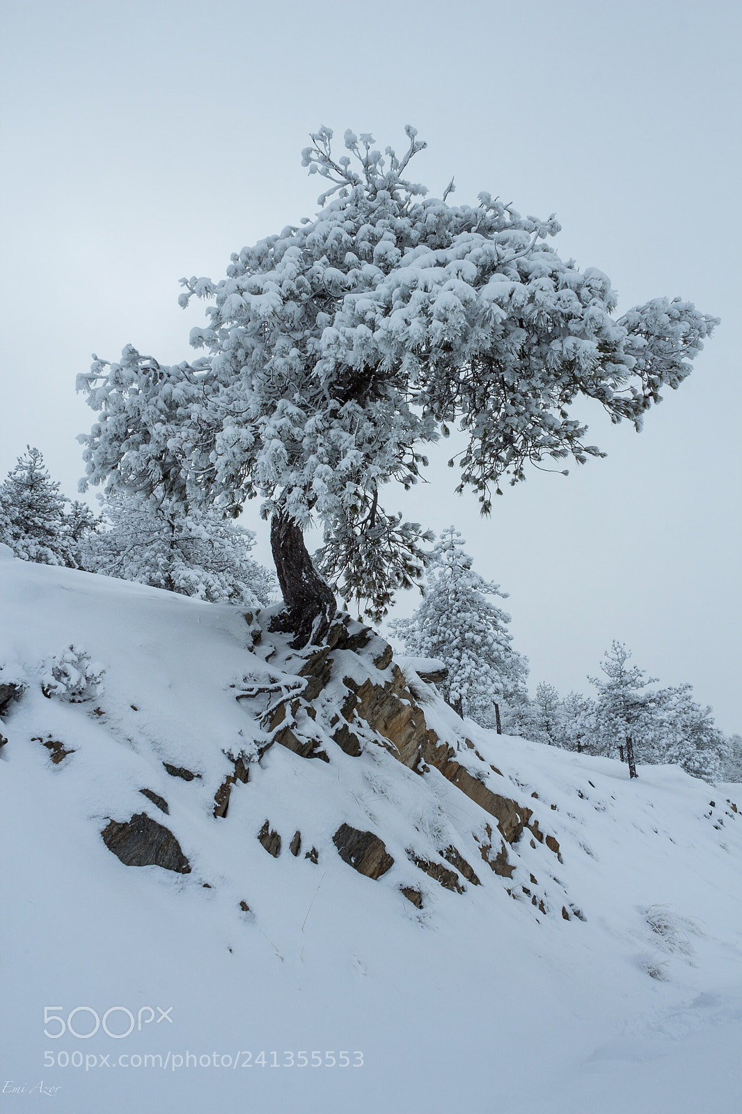 Canon EOS 650D (EOS Rebel T4i / EOS Kiss X6i) sample photo. Sierra de baza photography
